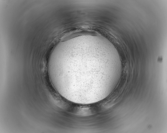 X0000090470651200708102134