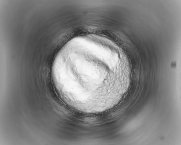 X0000090470653200708102134