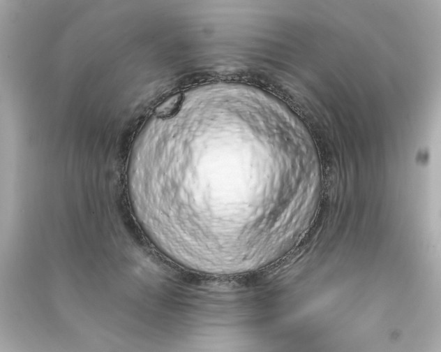 X0000090470654200708102134