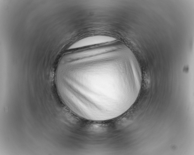 X0000090470657200708102134