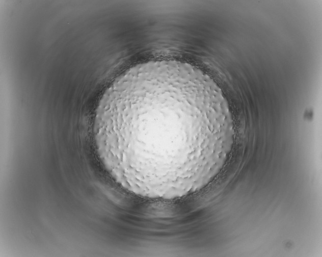 X0000090470659200708102134