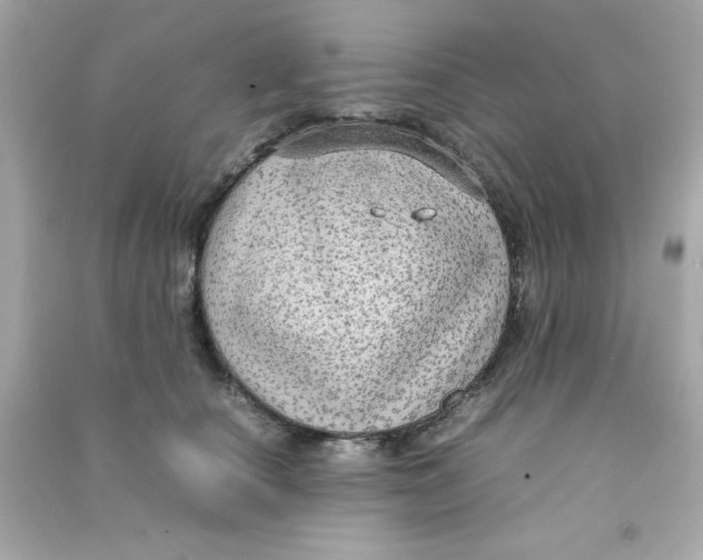 X0000090470660200708102134