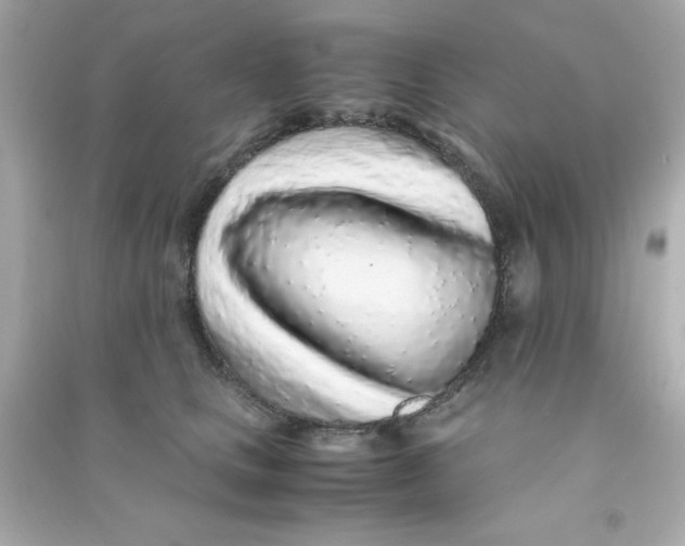 X0000090470661200708102134