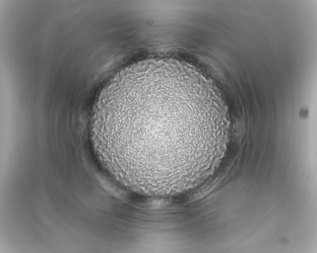 X0000090470662200708102134