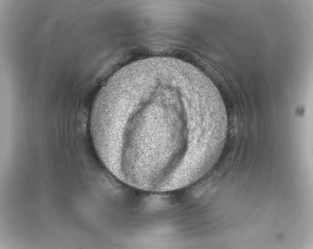 X0000090470664200708102134