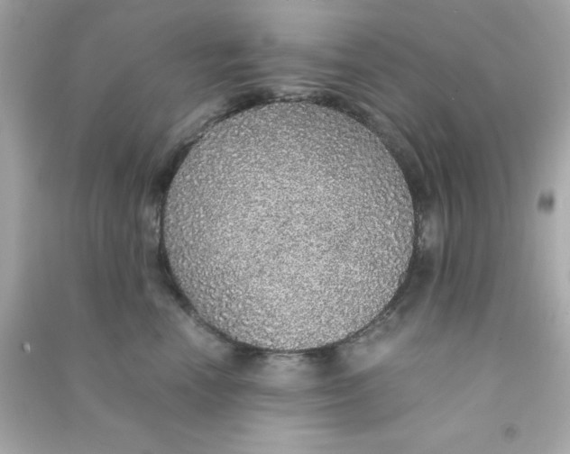 X0000090470666200708102134