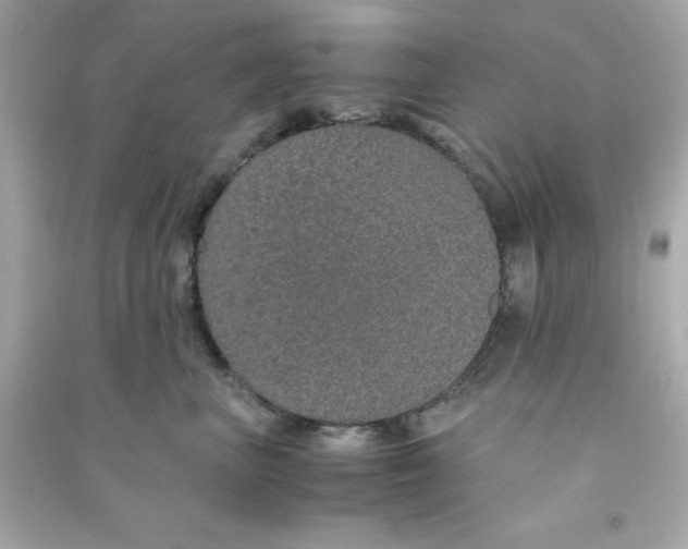 X0000090470667200708102134