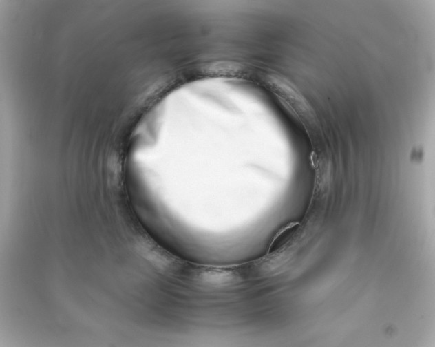 X0000090470669200708102134