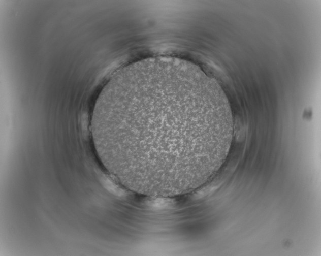 X0000090470670200708102134