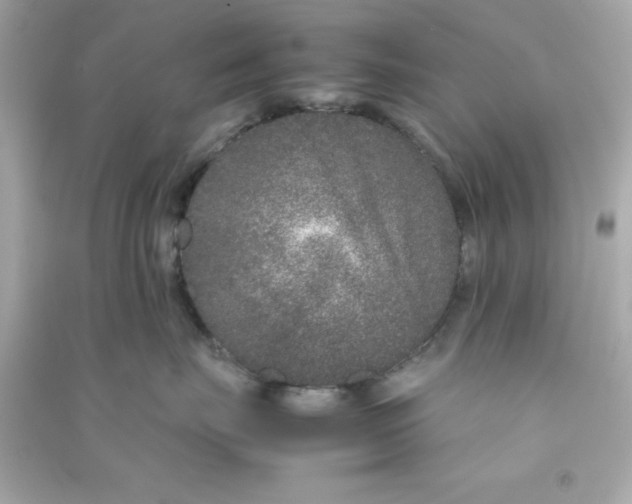 X0000090470671200708102134