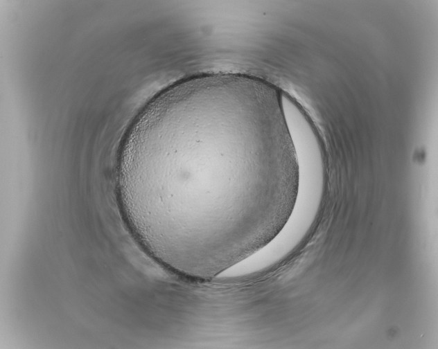 X0000090470673200708102134