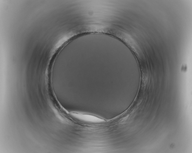 X0000090470674200708102134