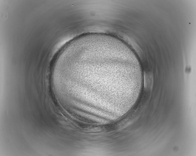 X0000090470675200708102134