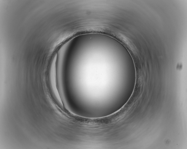 X0000090470677200708102134