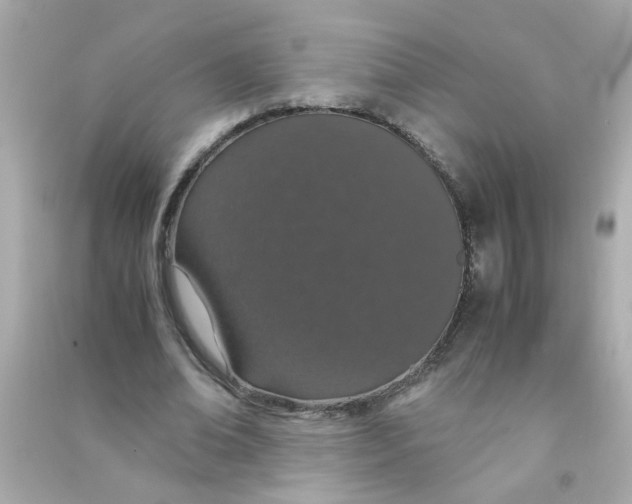 X0000090470678200708102134