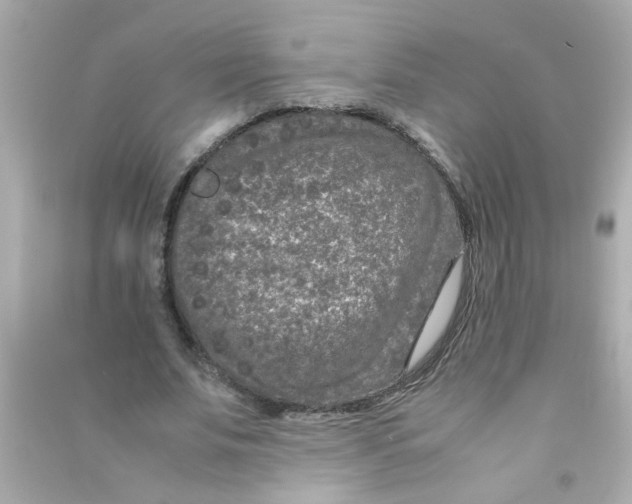 X0000090470679200708102134