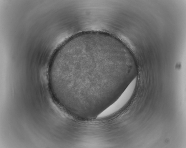 X0000090470680200708102134