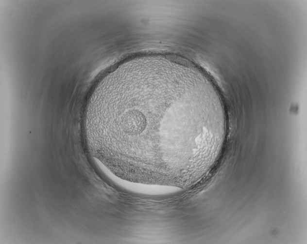 X0000090470681200708102134