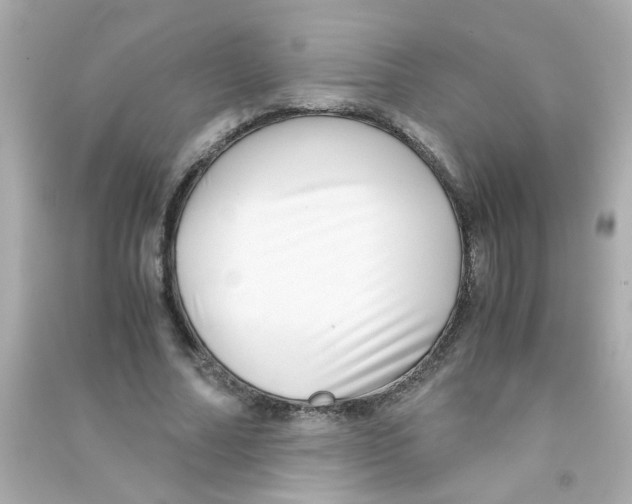 X0000090470682200708102134