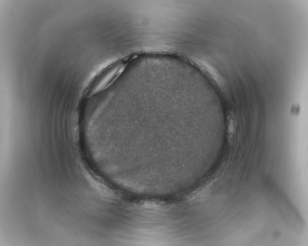 X0000090470684200708102134