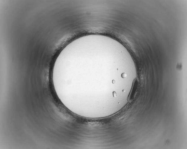 X0000090470686200708102134