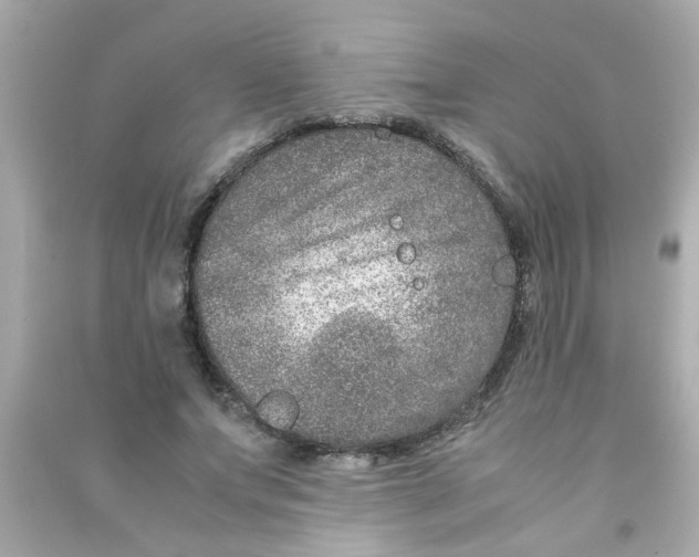 X0000090470687200708102134