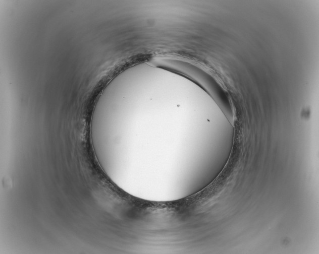 X0000090470689200708102134