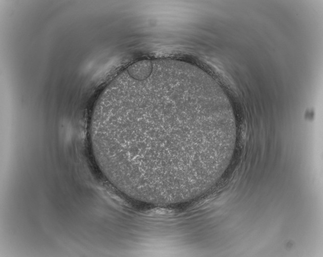 X0000090470691200708102134