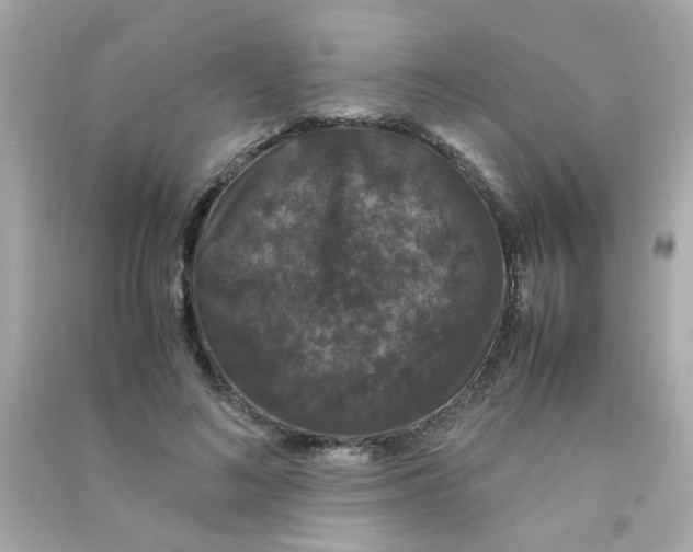 X0000090470692200708102134