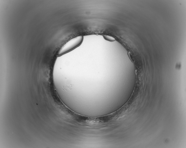 X0000090470693200708102134