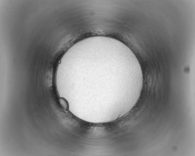 X0000090470694200708102134