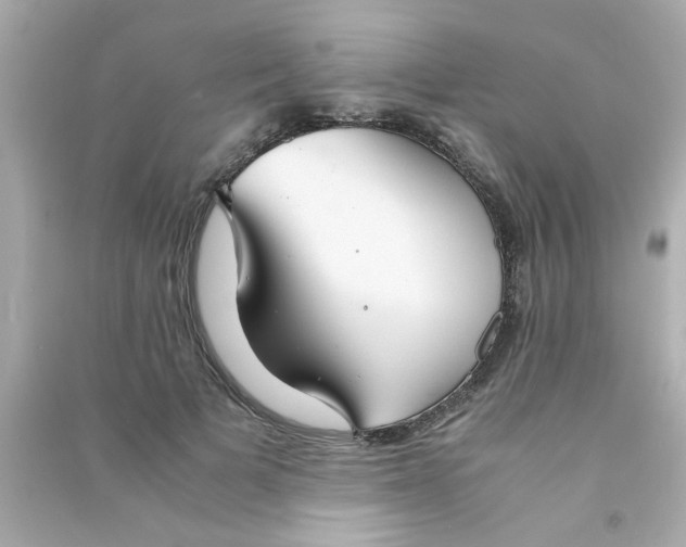 X0000090470697200708102134