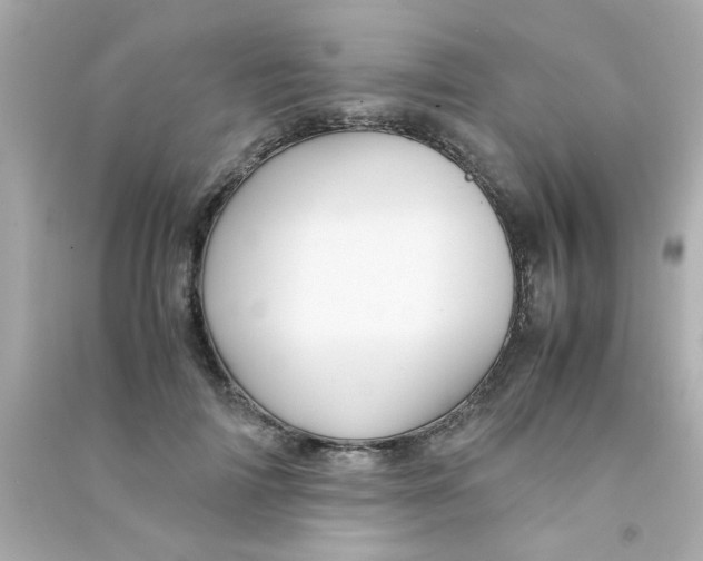 X0000090470698200708102133