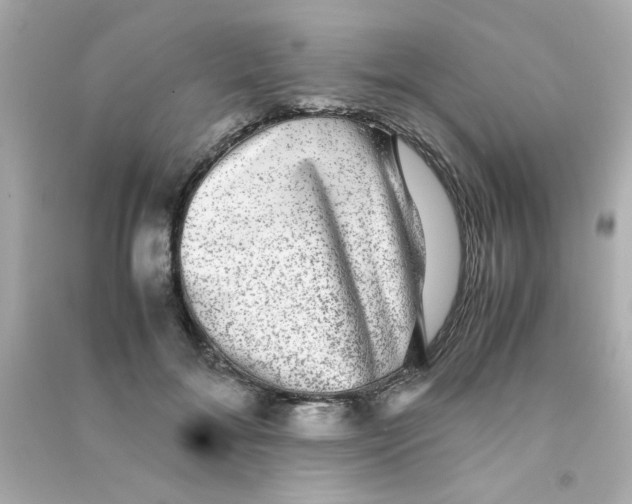 X0000090470700200708102133