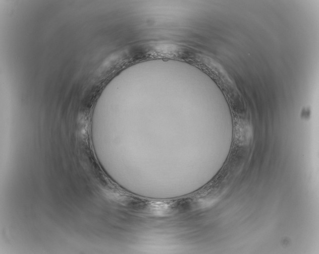 X0000090470701200708102133