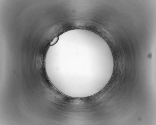 X0000090470702200708102133