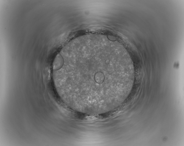 X0000090470703200708102133