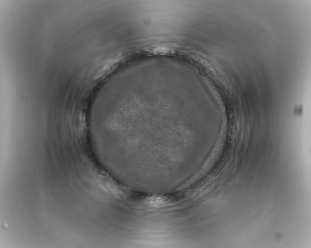 X0000090470704200708102133