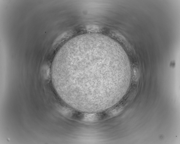 X0000090470705200708102133