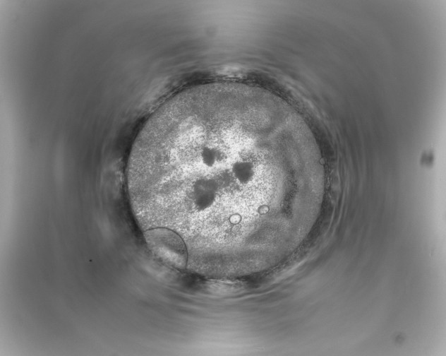 X0000090470707200708102133