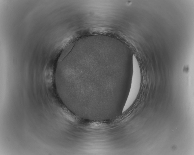 X0000090470708200708102133