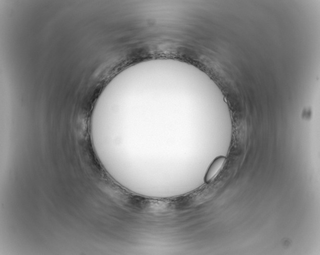 X0000090470709200708102133