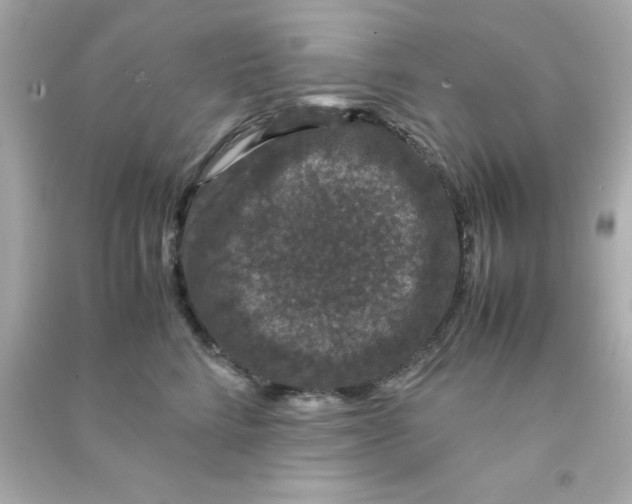 X0000090470712200708102133