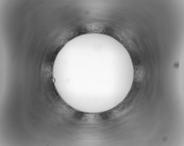 X0000090470713200708102133