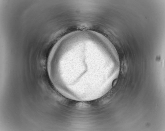 X0000090470714200708102133