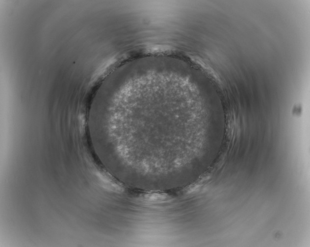 X0000090470716200708102133