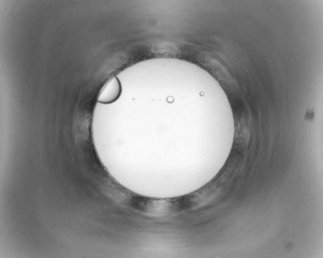 X0000090470717200708102133