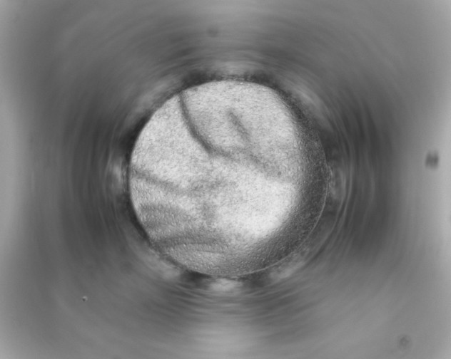 X0000090470718200708102133