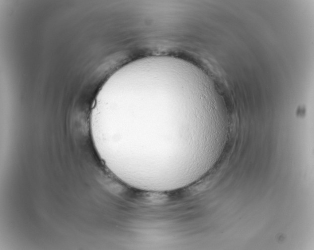 X0000090470719200708102133