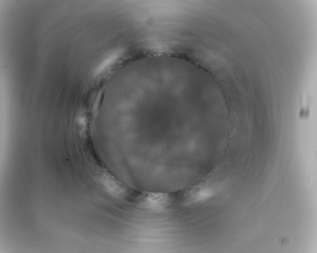 X0000090470720200708102133